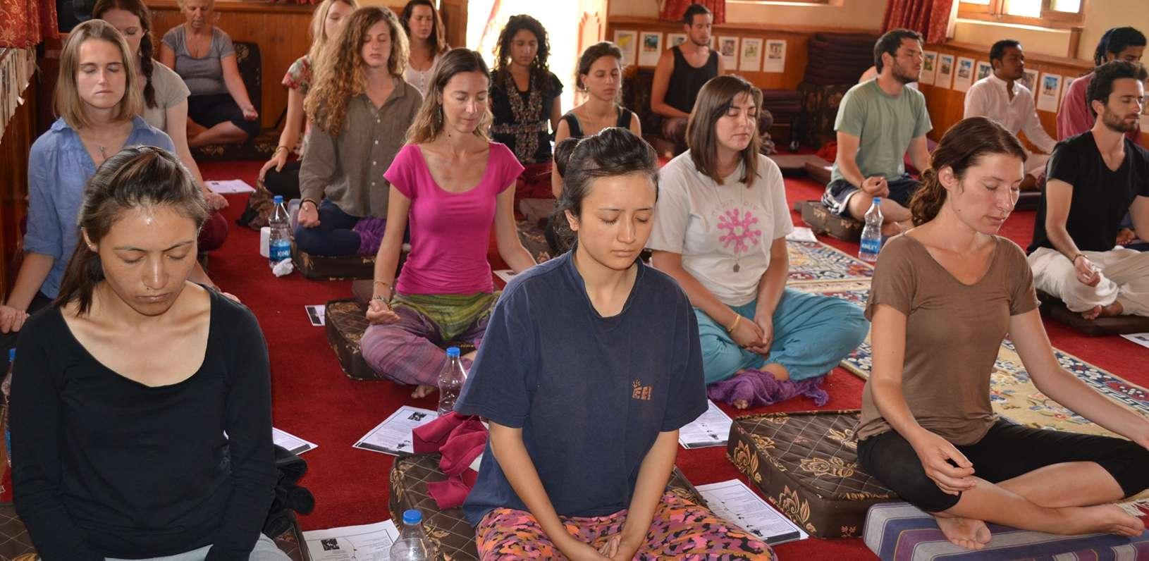 yoga courses and retreats